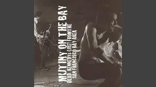 I Am The Owl (Live)
