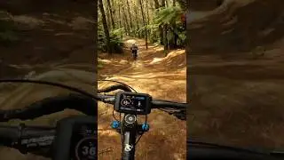 Show me how to Fly #emtb #jumping #redwoods #shorts