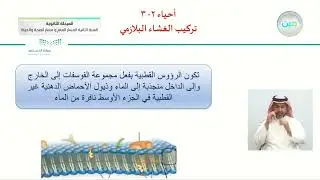 تركيب الغشاء البلازمي - الأحياء (2-3) - المسار العام والصحة والحياة - السنة الثانية