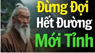 Không Ai Tỉnh Khi Đời Êm – Chỉ Tỉnh Khi Không Còn Đường Lui - TRÍCH DẪN ĐỘNG LỰC KHÔN NGOAN