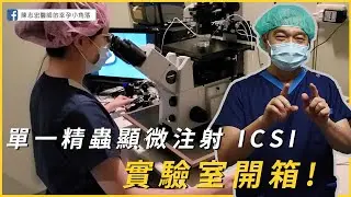 【大新開箱系列】ICSI !?強迫受精!?單一精蟲顯微注射開箱