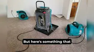 Cost to Repair Water Damage in King County Homes 2025
