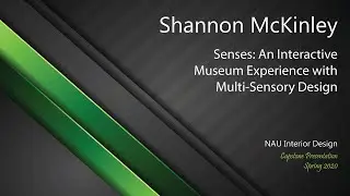 Senses: An Interactive Museum Experience with Multi-Sensory Design.