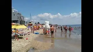 Polar bear in Black Sea. Zatoka beach, July 2016