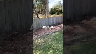 Remove all bushes and small trees 👆
