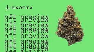 Exotix 3D Interactive NFT Preview