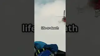 Heart Stopping Moments During Wilderness Rescues #wildliferescue