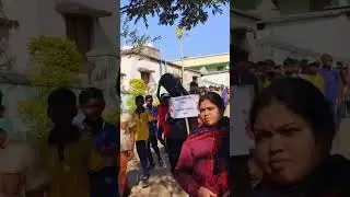 National energy conservation Day celebration #school #education #shorts