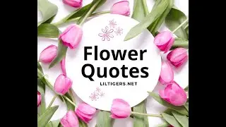 Flower Quotes