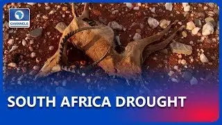 Drought Threatens South Africa Wildlife