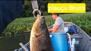 Acampamento 🏕 e pescaria com muita a&ccedil;&atilde;o de peixe #Acampamento #pesca #fish