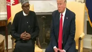 Buhari meets with Trump in White House
