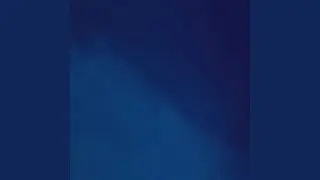 in the night