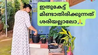 ഇത്രയെങ്കിലും എന്റെ ഭാഗത്തൂന്ന് വേണ്ട കാര്യം തന്നെയാ🙏🩷 #ammakkili #life #reality #evening #happiness