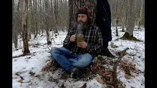 What the Snow Reveals | Winter Tea & Forest Discoveries