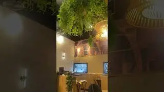 Sanjeev Kapoor restaurant in Dubai #dubai #uae