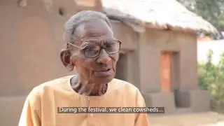 Crowning the cow: the 'go-bnadna' festival of the Santals of Purulia district, West Bengal