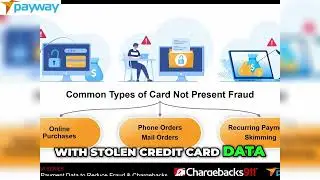 The Impact of Card Not Present Transactions on Fraud
