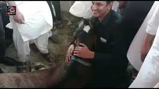 World Record Holder 327 Kg Biggest Goat Of The World 2022 winer
