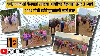 चणेरे पंचक्रोशी बैलगाडी संघटना आयोजित बैलगाडी शर्यत ३१ मार्च २०२४ रोजी चणेरे सुडकोली माती बंदर  