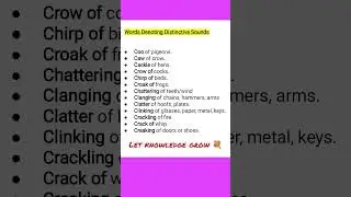 Words Denoting Sounds|| English Vocabulary#youtubeshorts #youtube