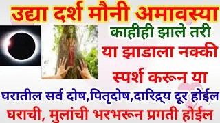 उद्या मौनी अमावस्या# या झाडाला नक्की स्पर्श करा#७ पिढ्यांचे दारिद्र्य,पितृदोष संपेल,प्रगती होईल#