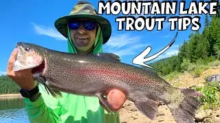 Top 7 High Mountain Lake Trout Fishing Tips