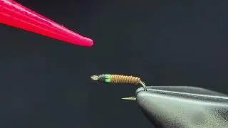 Bling Midge   4K