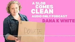 490: Four Reasons the No Mess Decluttering Process Works for Kids and Anyone