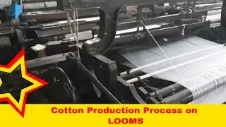 Cotton Fabric Manufacturing Process | Warp and Weft | Cotton Production | Looms Weaving Process