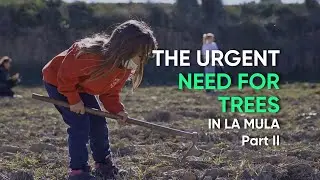 Why planting trees in Mula, Spain? (Part II)