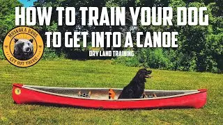How to Train Your Dog to Get Into a Canoe Muskoka Bros.