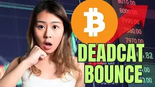 Bitcoin&rsquo;s Dead Cat Bounce WARNING + China Just Built an 