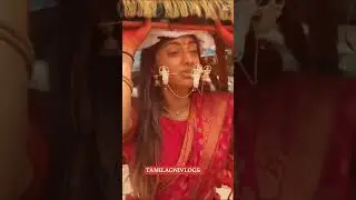 Mauritius Thaipusam 2025#muruganukku cavadi # tamil god murugan#viral short#india#malaysia Indonesia