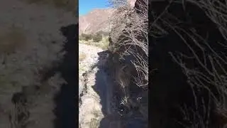 Senderismo salta, caminata por R&iacute;o Angastaco.