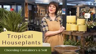 GUIDE: Tropical Houseplants | Choosing Containers and Soil