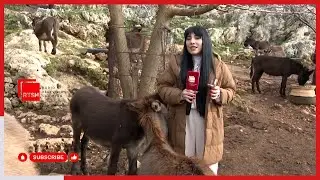 SPECIALE-  Ferma e gomaricave, e ngritur nga dy vëllezër në Kopaçez të Delvinës qysh prej vitit 2011