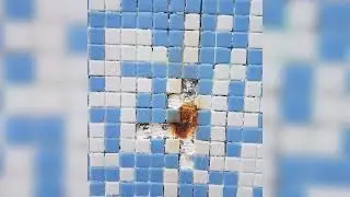 Poolrenovierung
