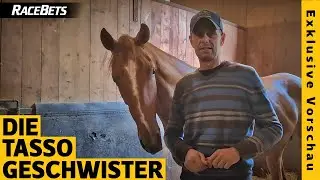 RaceBets Exklusiv: Torquator Tassos Geschwister stehen in den Startlöchern