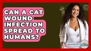 Can A Cat Wound Infection Spread To Humans? - Ask A Pet Vet