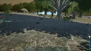 Live Ark  map volcano (no comment )