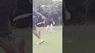Lockdown Cricket..