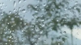 Refreshing Monsoon Rain Walk in a Village of Goa ☔️☔️☔️ 