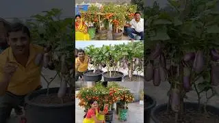 Now start #farming
