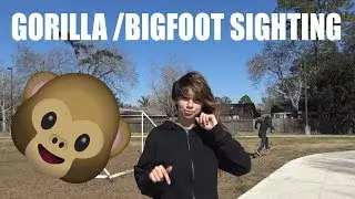BIGFOOT SIGHTING ON FAKE NEWS