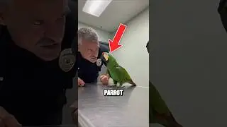 Попугай перехитрил полицейского! 🦜👮