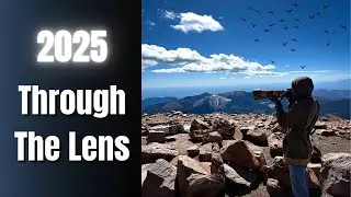 Reflecting on 2025 - A Year In Photos
