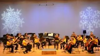 NKU String Project Prelude Class Performs 