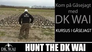G&Aring;SEJAGT - Kursus i g&aring;sejagt med DK WAI