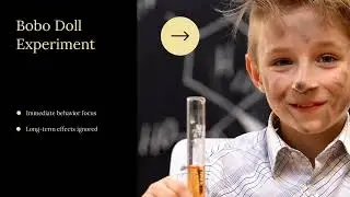 LO2 Understanding Child Behaviour-Theoretical Perspectives and Insights